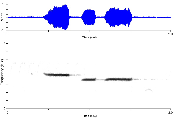 ../../../Passeriformes/Paridae/Poecilegambeli/MOCH_OR_Kla_song-44kp.wav