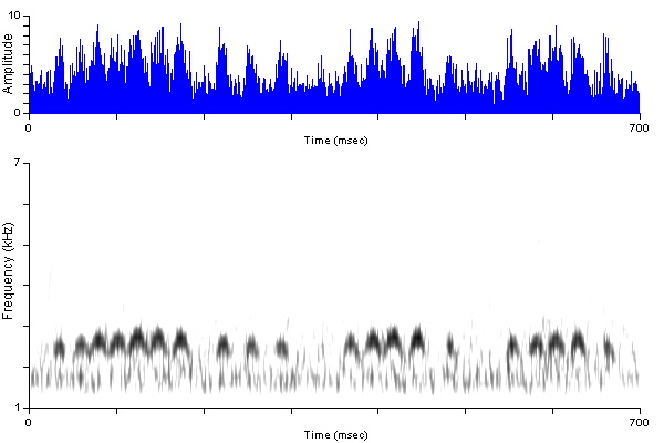 ../../../Passeriformes/Tyrannidae/Empidonaxalnorum/alfl_ak_trill700msec_mattro_dam9315b-1602ap.wav