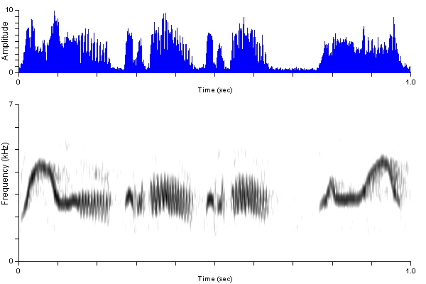 ../../../Passeriformes/Tyrannidae/Empidonaxalnorum/alfl_me_complex_wascut_blb2226-44p.wav