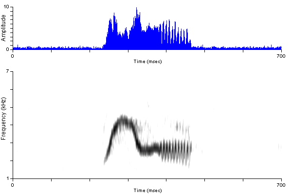 ../../../Passeriformes/Tyrannidae/Empidonaxalnorum/alfl_me_weeoo_wascut1_blb2226-44ap.wav