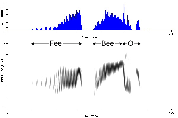 ../../../Passeriformes/Tyrannidae/Empidonaxalnorum/alflfeebeeo.wav