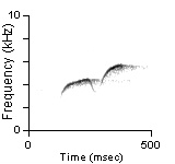 Male Position Note, Pitkin Co., CO, 07/07/1992