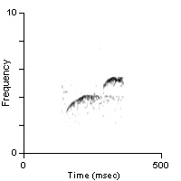 Male Position Note, Cibola Co., NM, 06/11/1999