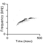 Male Position Note, Cibola Co., NM, 06/10/1999