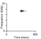 Female Position Note, Santa Barbara Co., CA, 04/04/1997