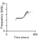 Male Position Note, Monterey Co., CA, 05/12/1991