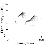 Song Phrase 2, Contra Costa Co., CA, 04/18/1993