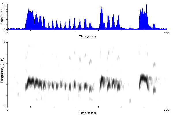 ../../../Passeriformes/Tyrannidae/Empidonaxtraillii/wifl_BC_twitter____Pri1_RusWiflBC060607-22ap.wav