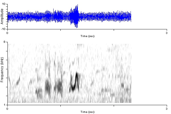 alfl_nc_complex1_hayblb1_damdv0631-601p.wav