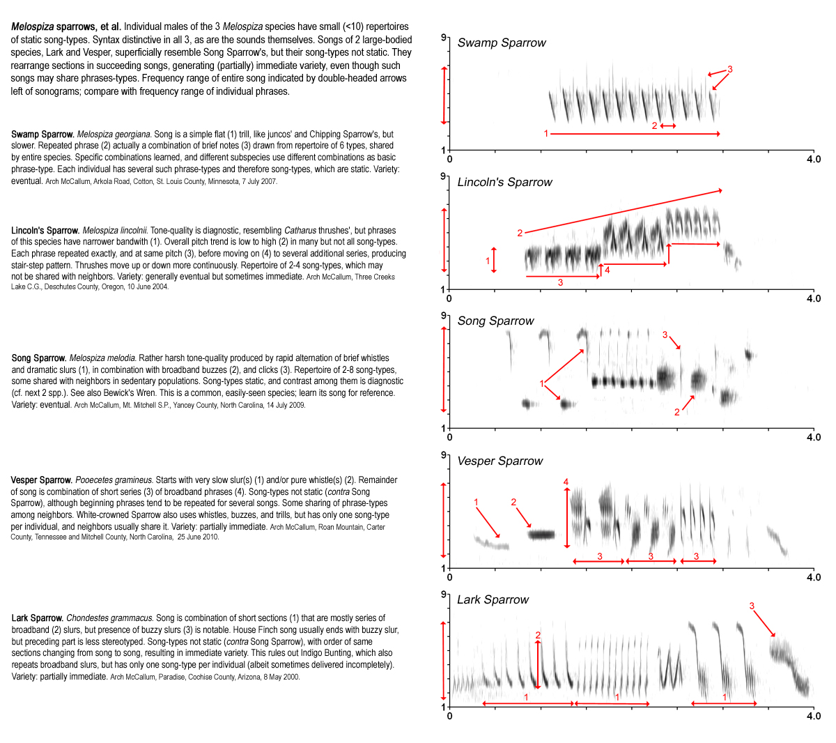 Field Guide Page: Melospiza et al.
