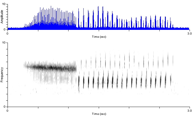 brsp_or_songshort1_harsilm1_damdv0425-1240p.wav