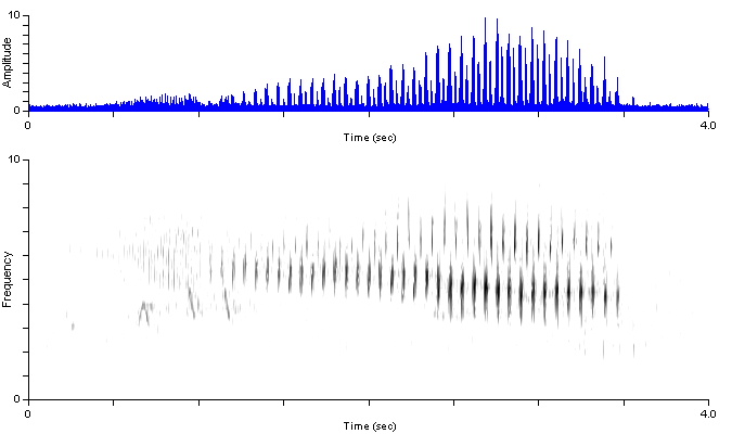 brsp_or_songshort1_harsilm1_damdv0425stop49-362p.wav