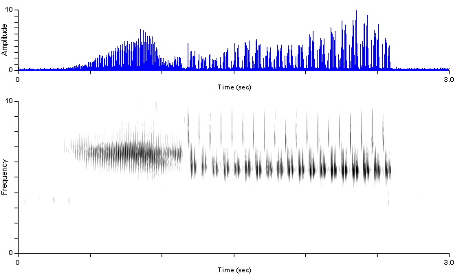 brsp_or_songshort_bakbowm1_damdv0353-632p.wav