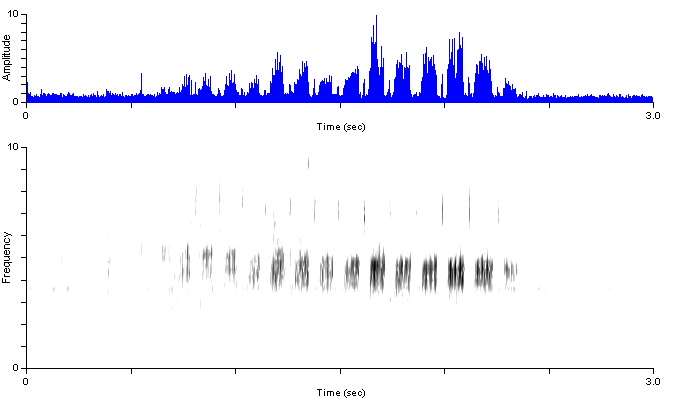 brsp_or_songshort_hardenm1_damdv0519-246p.wav