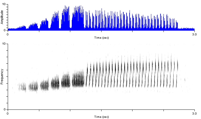 brsp_or_songshort_lakecam1_sbb05cabinlake-8p.wav