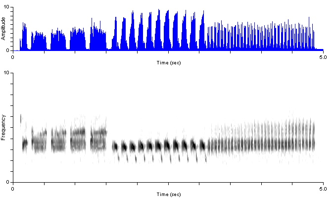 brsp_un_songshortlong1_unu_eporw2-3948p.wav