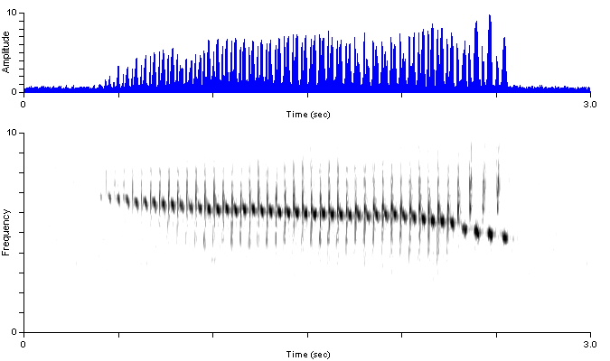 brsp_un_songshortp2_unu_eporw2-4019p.wav
