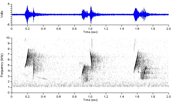 hafl01or_dvid200354_0622_0515_song