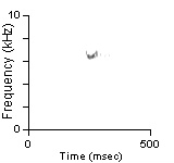 Female Position Note, Cibola Co., NM, 06/10/1999