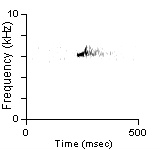 Female Position Note, Cibola Co., NM, 06/11/1999