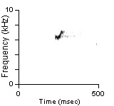 Female Position Note, Cibola Co., NM, 06/11/1999