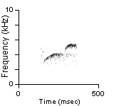 Male Position Note, Cibola Co., NM, 06/11/1999