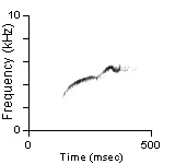 Male Position Note, Cibola Co., NM, 06/10/1999