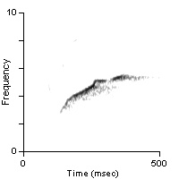 Male Position Note, Cibola Co., NM, 06/10/1999