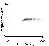 Song Phrase 1, Cibola Co., NM, 06/12/1999