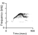 Song Phrase 2, Cibola Co., NM, 06/27/1981