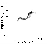 Male Position Note, Santa Barbara Co., CA, 04/04/1997