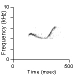 Male Position Note, Contra Costa Co., CA, 04/18/1993