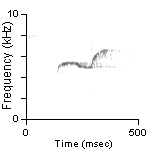 Male Position Note, Monterey Co., CA, 05/08/1992