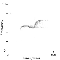 Male Position Note, Monterey Co., CA, 05/08/1992