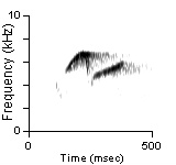 Song Phrase 2, Deschutes Co., OR, 06/18/2005