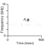 Song Phrase 3, Deschutes Co., OR, 06/18/2005